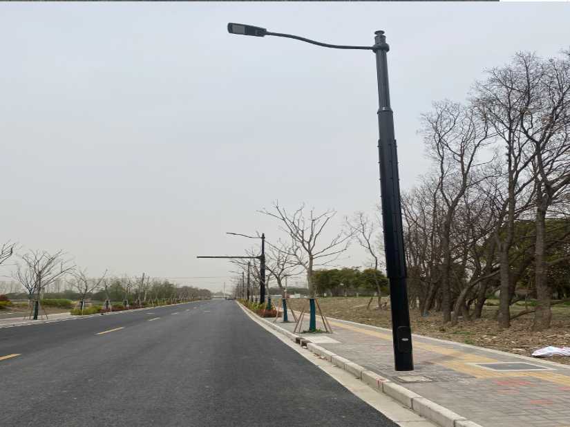 成华区上海综合杆 太阳能路灯工程
